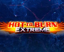 Hot to Burn Extreme